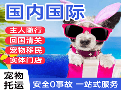 重庆航空邮寄国际宠物托运 【国